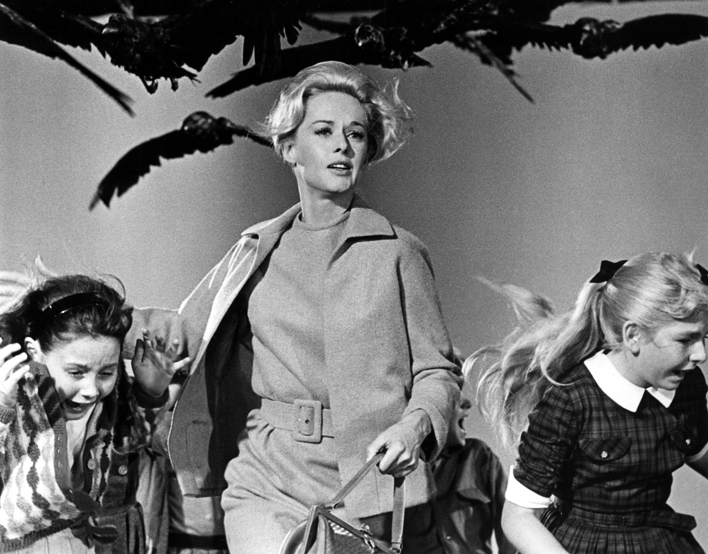 ORG XMIT: *S0418250297* Tippi Hedren in Alfred Hitchcock's 'The Birds' Email: ewade@dallasnews.com Phone: 1423 OrigName: 1161890345_0648339001161890345_0.JPG Name: Birds1.JPG Byline: Universal Pictures Submitter: erin Timestamp: 2006-10-26 14:19:05 Section: QUICK_NQ 10272006xQUICK 10072010xGUIDEDAILY 10062011xBRIEFING